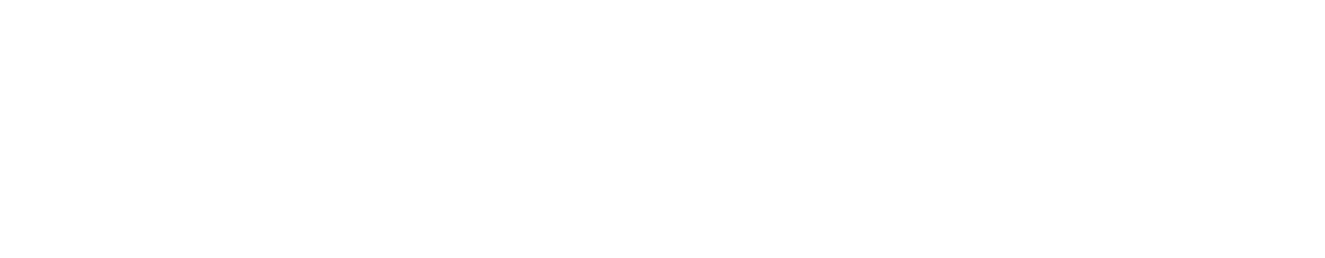 PANTRADE Solutions e.U. MagnuMaster